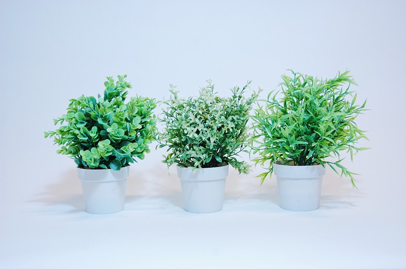 Plant Kunststof 24cm In Ronde Witte Pot