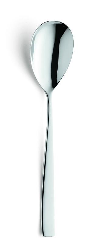 Amefa Martin Salad serving spoon / sladienlepel