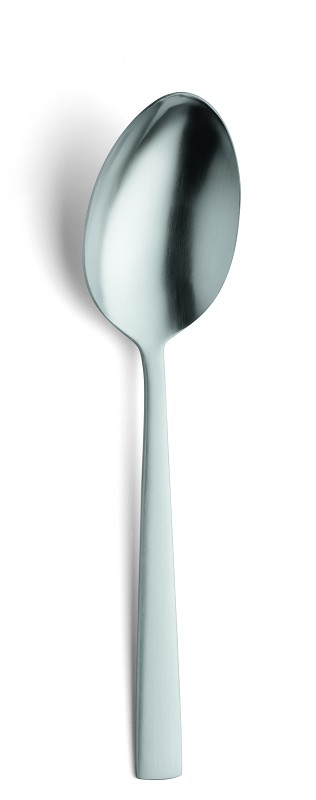 Amefa Ventura Salad serving spoon / sladienlepel